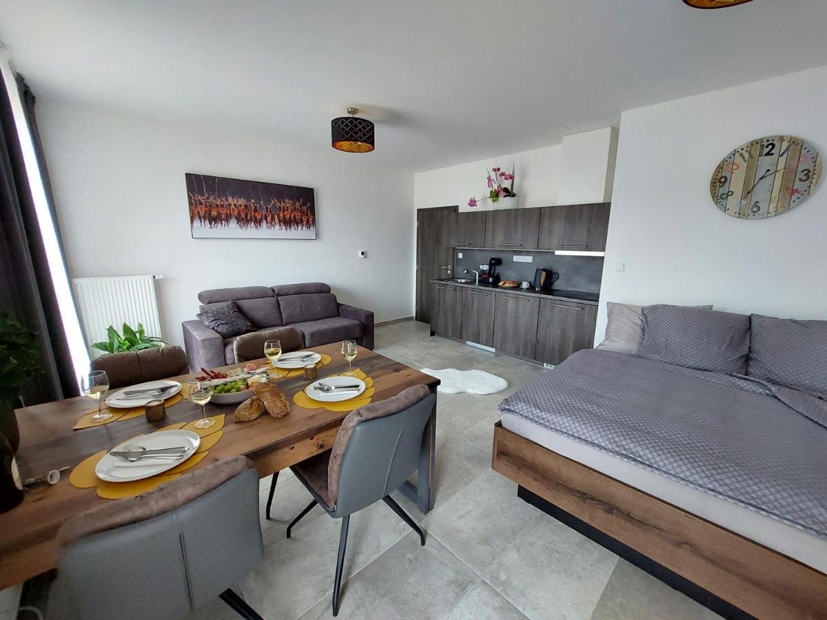 Apartman Rezidence Javor เชเลซนารูดา ภายนอก รูปภาพ
